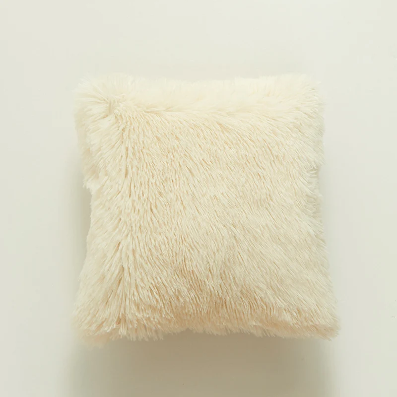 Plush Soft Texture Decorative Cushion