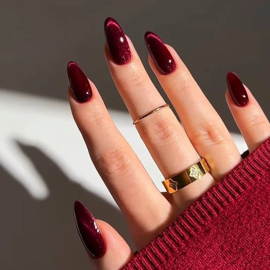 Premium Glossy Stiletto Nail Enhancements Stornfield