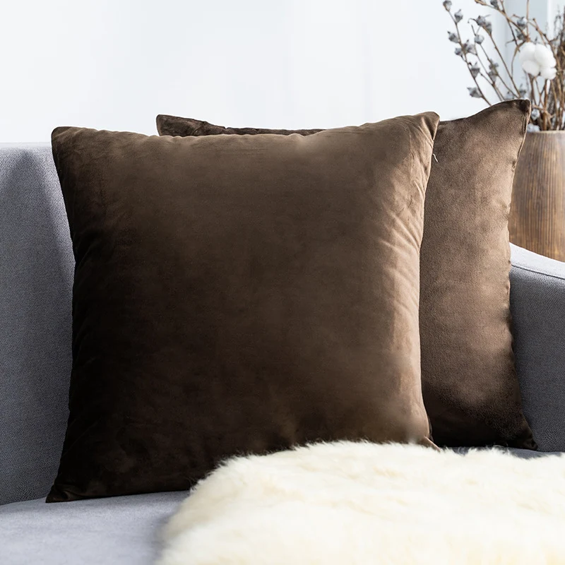 Ultra-Soft Velvet Square Decorative Pillow Cover with Minky Back and Invisible Zipper