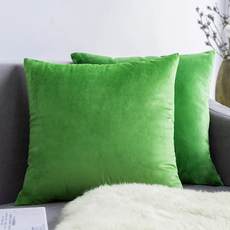 Ultra-Soft Velvet Square Decorative Pillow Cover with Minky Back and Invisible Zipper
