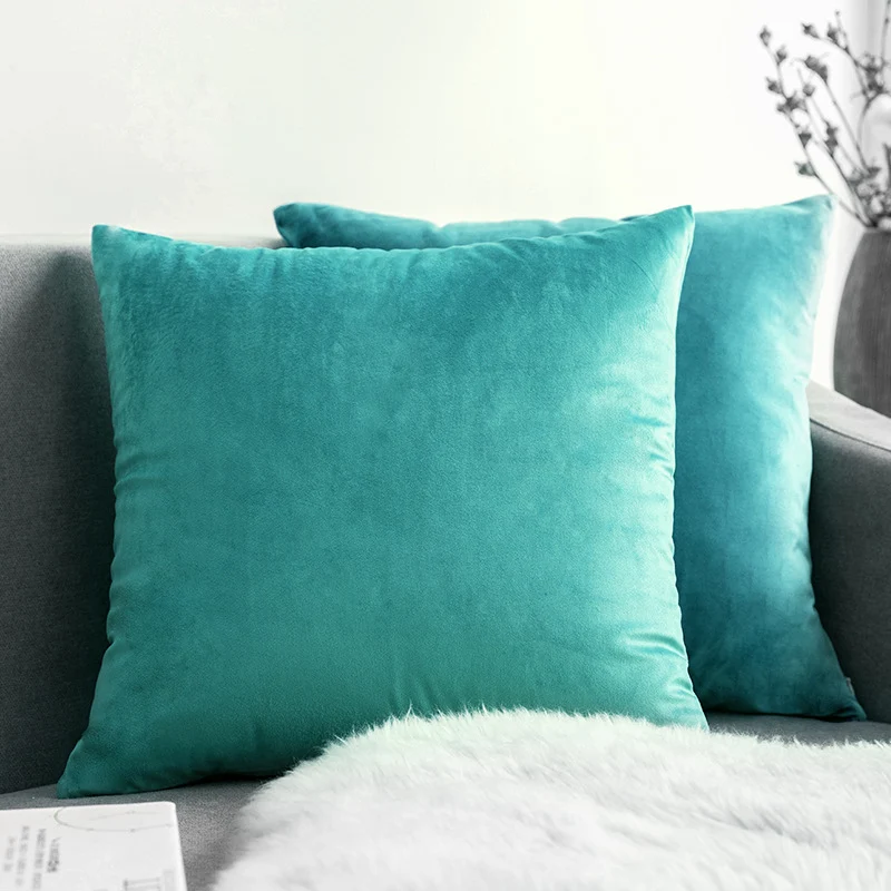 Ultra-Soft Velvet Square Decorative Pillow Cover with Minky Back and Invisible Zipper