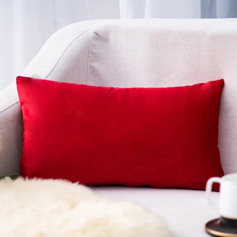 Plush Velvet Lumbar Pillow Cover with Hidden Zipper and Removable Insert Support