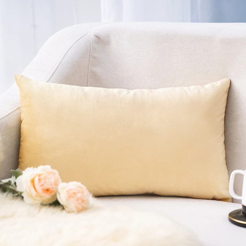 Plush Velvet Lumbar Pillow Cover with Hidden Zipper and Removable Insert Support