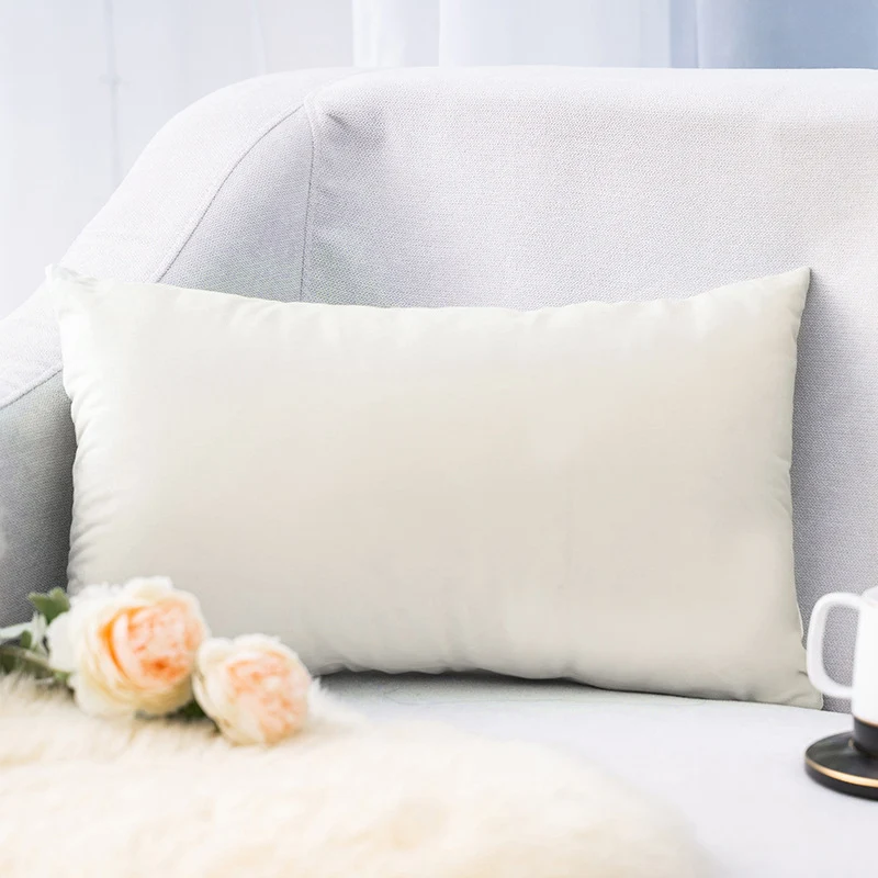 Plush Velvet Lumbar Pillow Cover with Hidden Zipper and Removable Insert Support