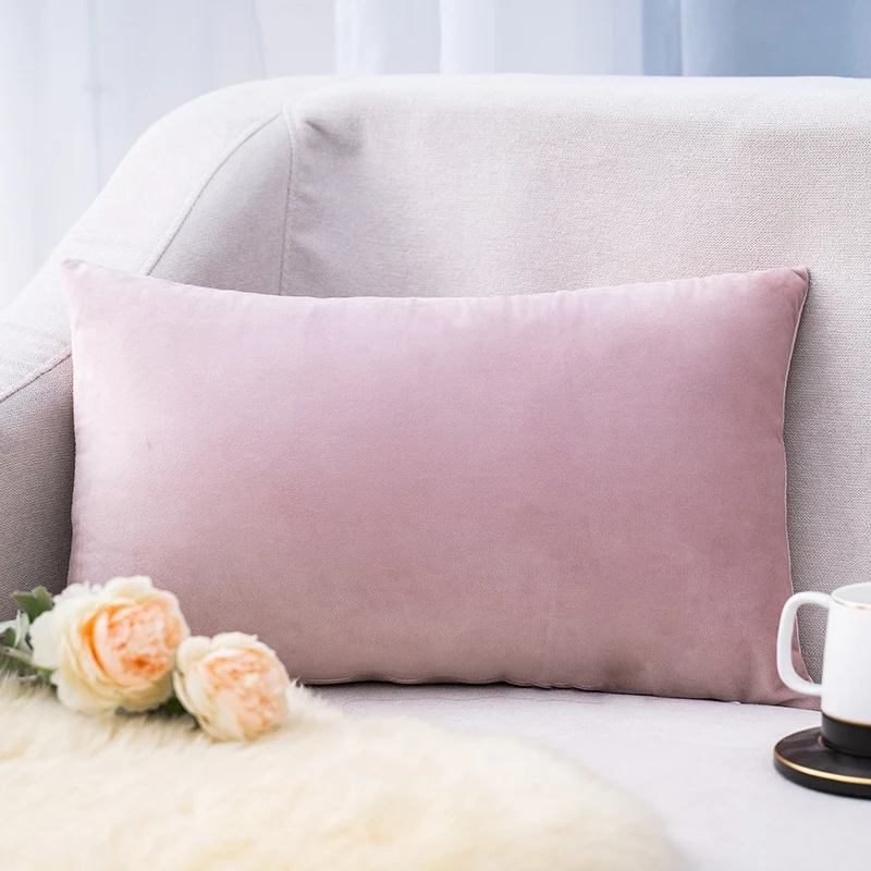 Plush Velvet Lumbar Pillow Cover with Hidden Zipper and Removable Insert Support