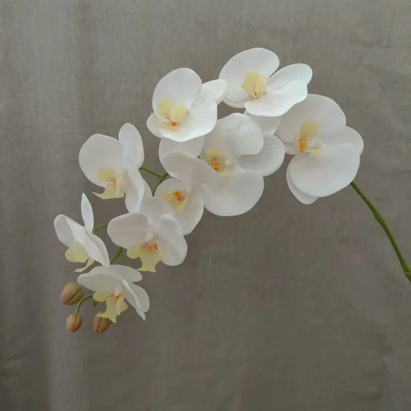 Lifelike Orchid Floral Stem