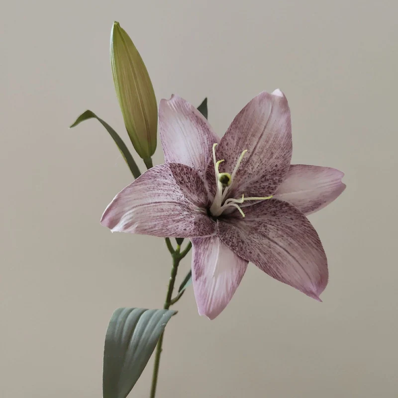 Lifelike Lily Stem
