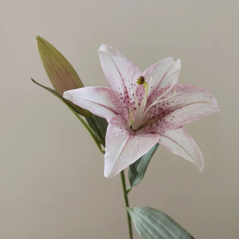 Lifelike Lily Stem