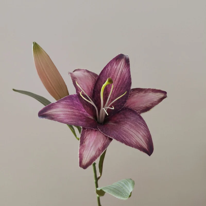 Lifelike Lily Stem