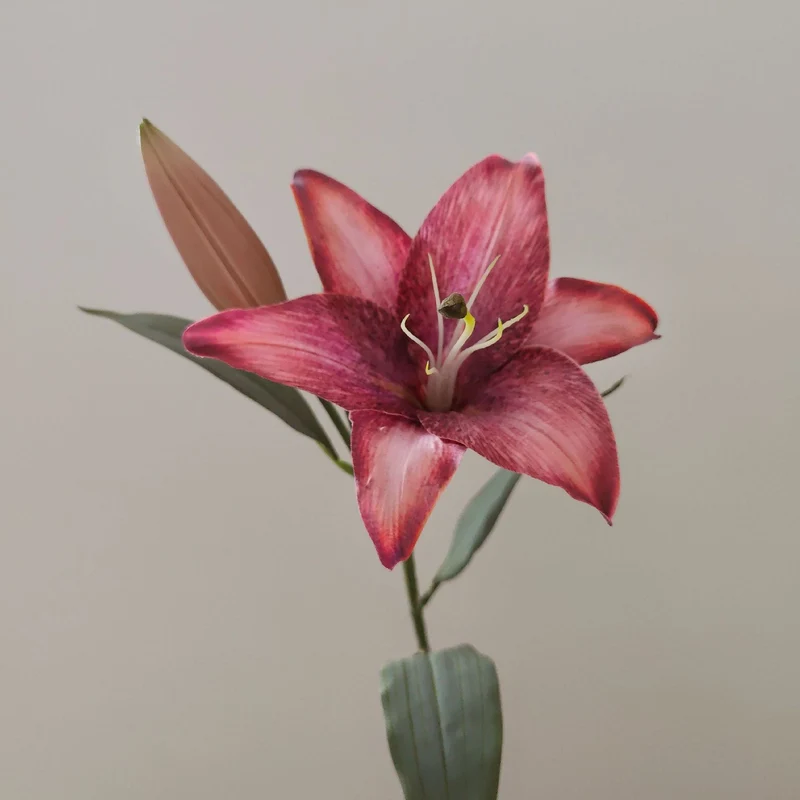 Lifelike Lily Stem