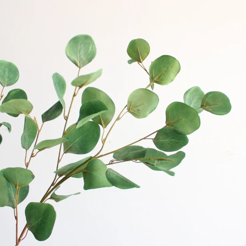 Decorative Eucalyptus Branch