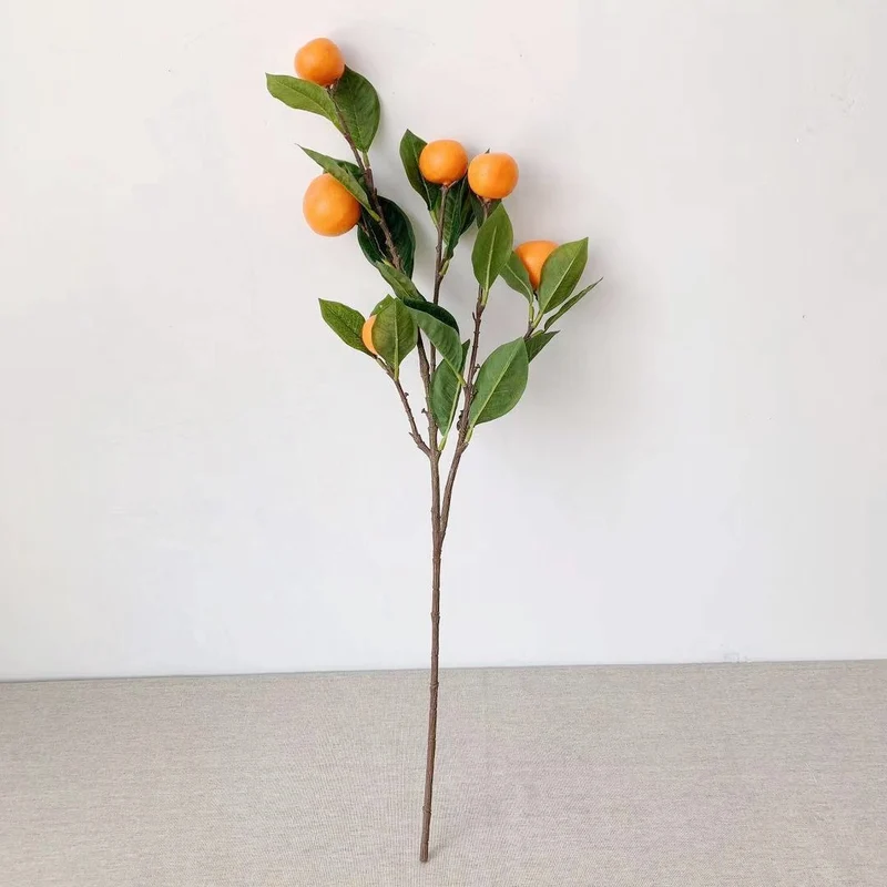 Decorative Citrus Fruit Stem