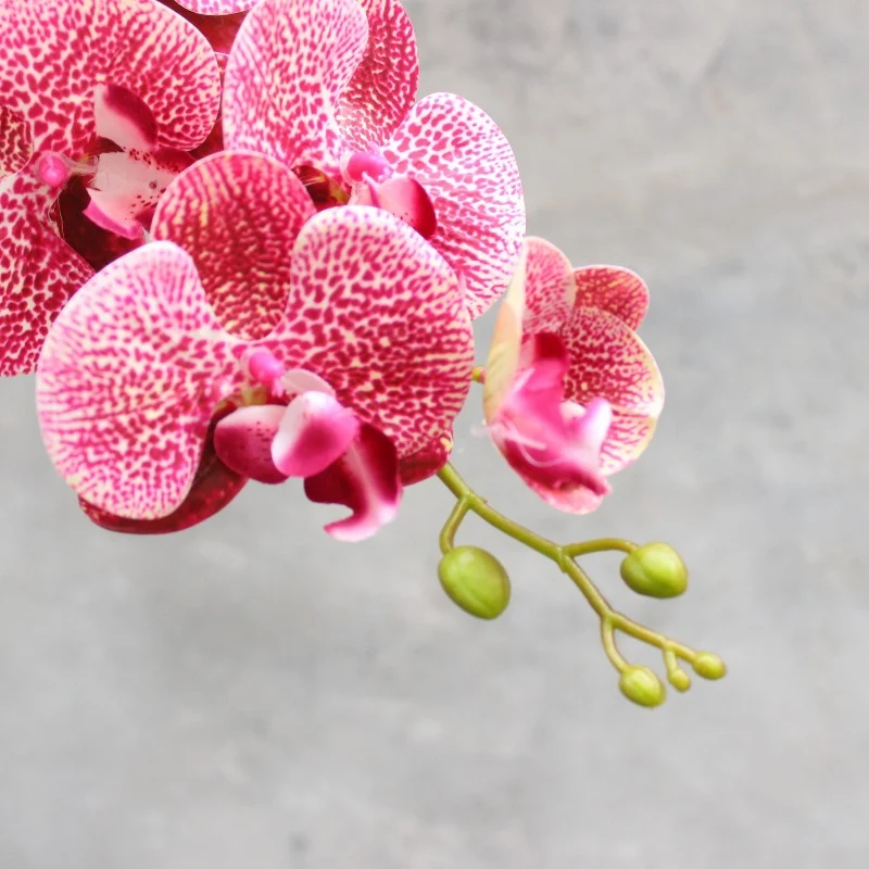 Decorative Blooming Orchid Stem