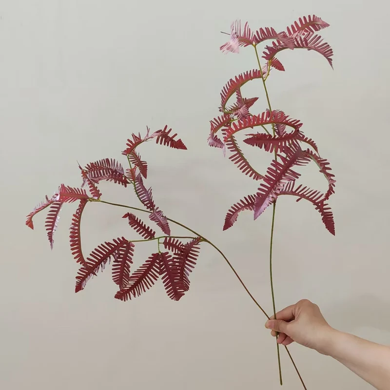Artistic Fern Stem