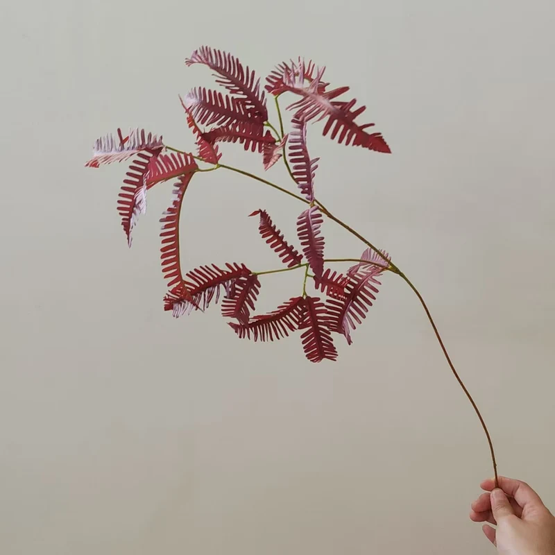 Artistic Fern Stem