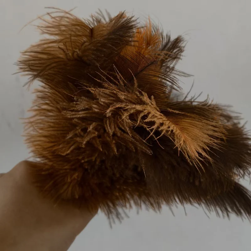 Extendable ostrich feather duster, 120 cm