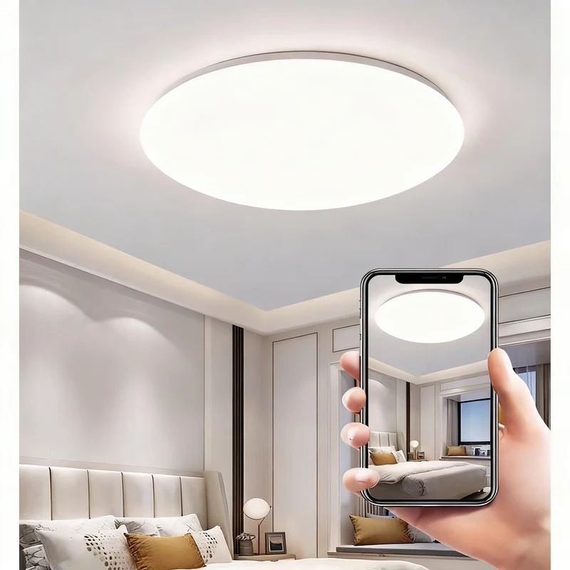 Ceiling light with LED and voice control