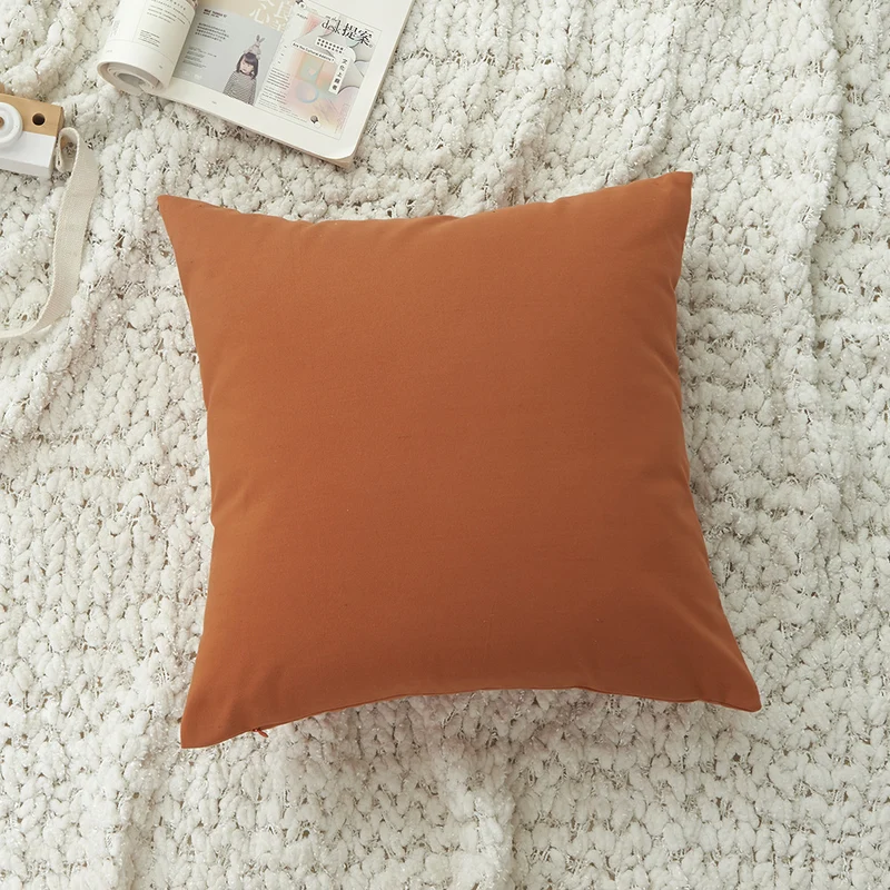 Minimalist Decorative Cushion