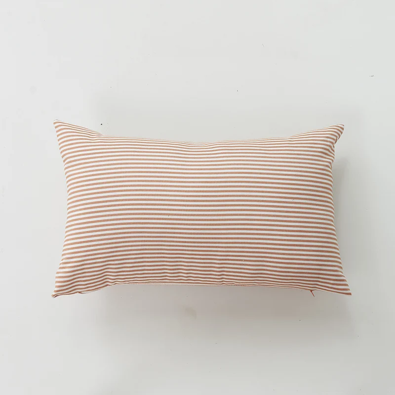 Minimalist Decorative Cushion