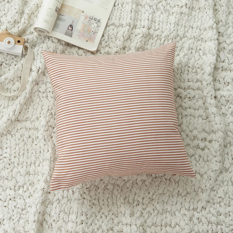 Minimalist Decorative Cushion