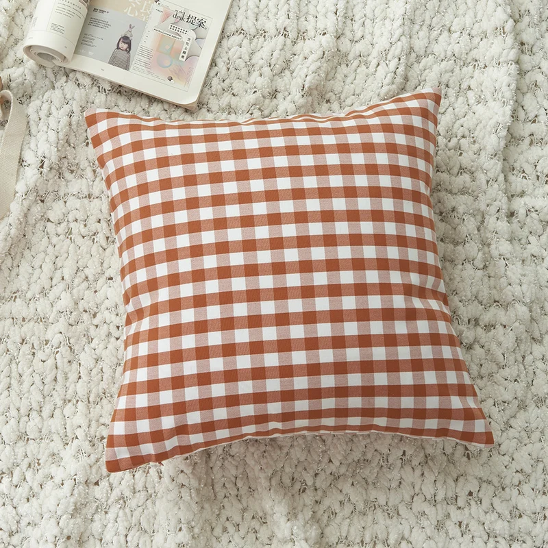 Minimalist Decorative Cushion