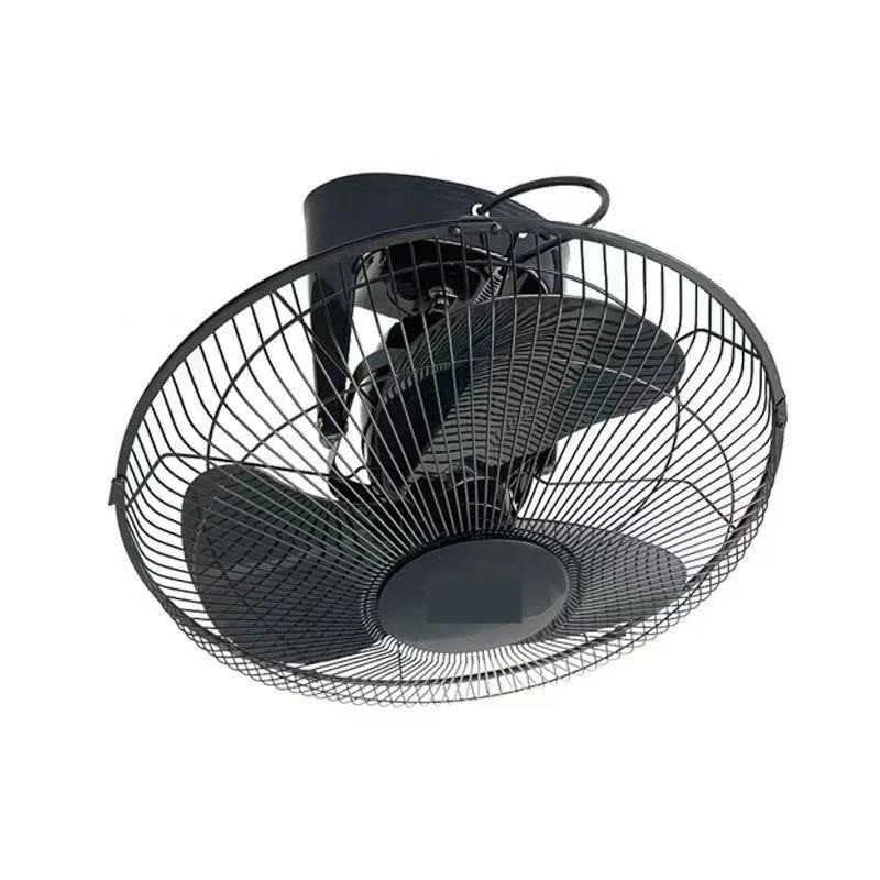Ladies ceiling fan Stornfield