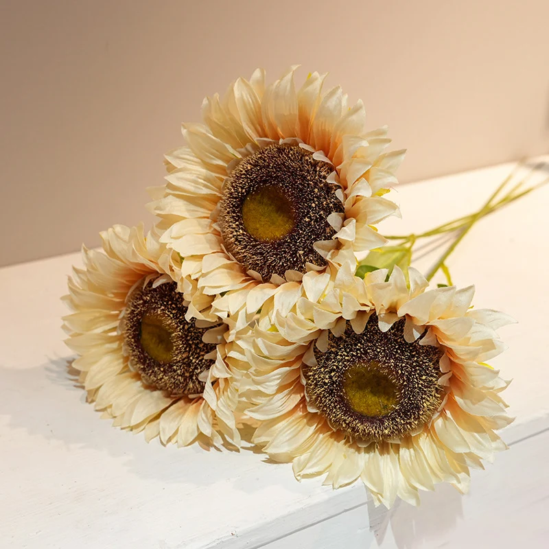 Decorative Plant Stornfield