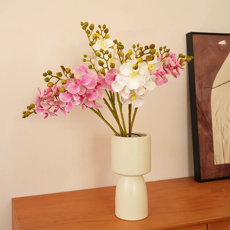 Elegant Orchid Stems Stornfield