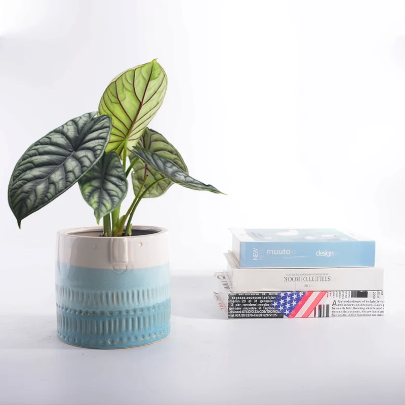 Decorative plant pot with facial features Stornfield