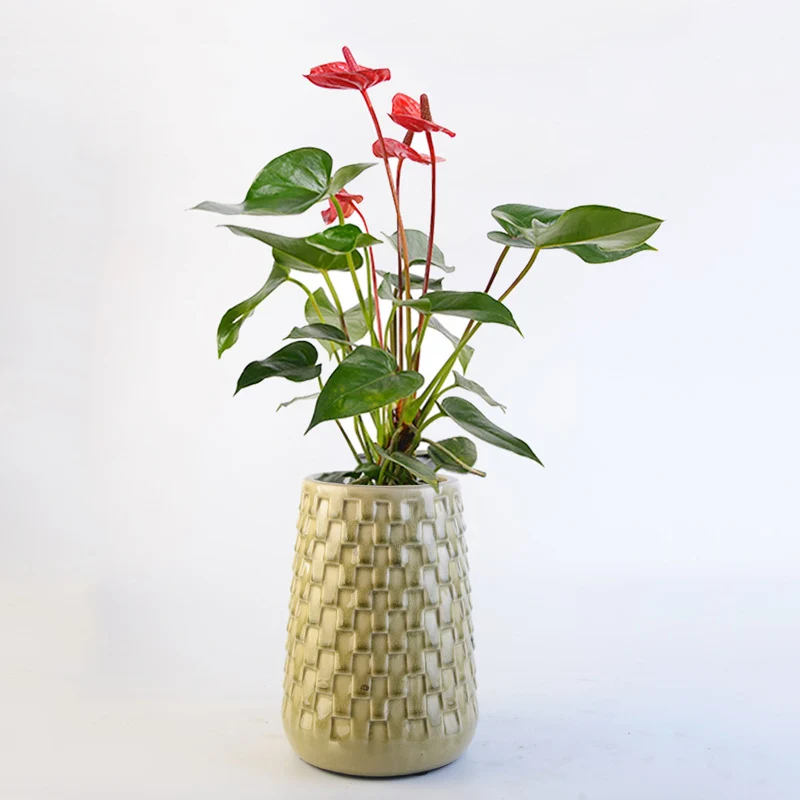 Decorative Flower Pots Stornfield