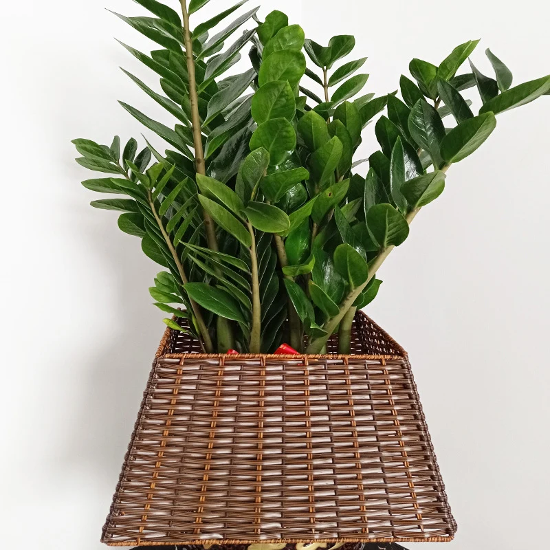 Storage Basket Stornfield