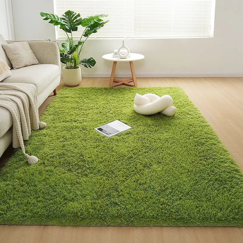 Plush Soft Shag Area Rug