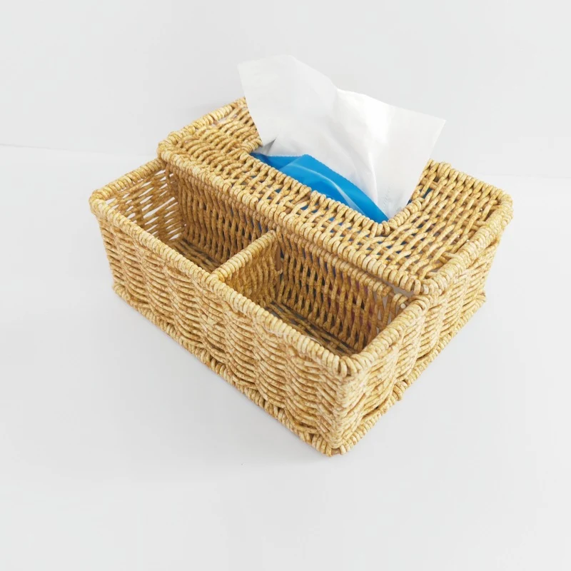 Multi-Compartment Woven Storage Organizer Stornfield
