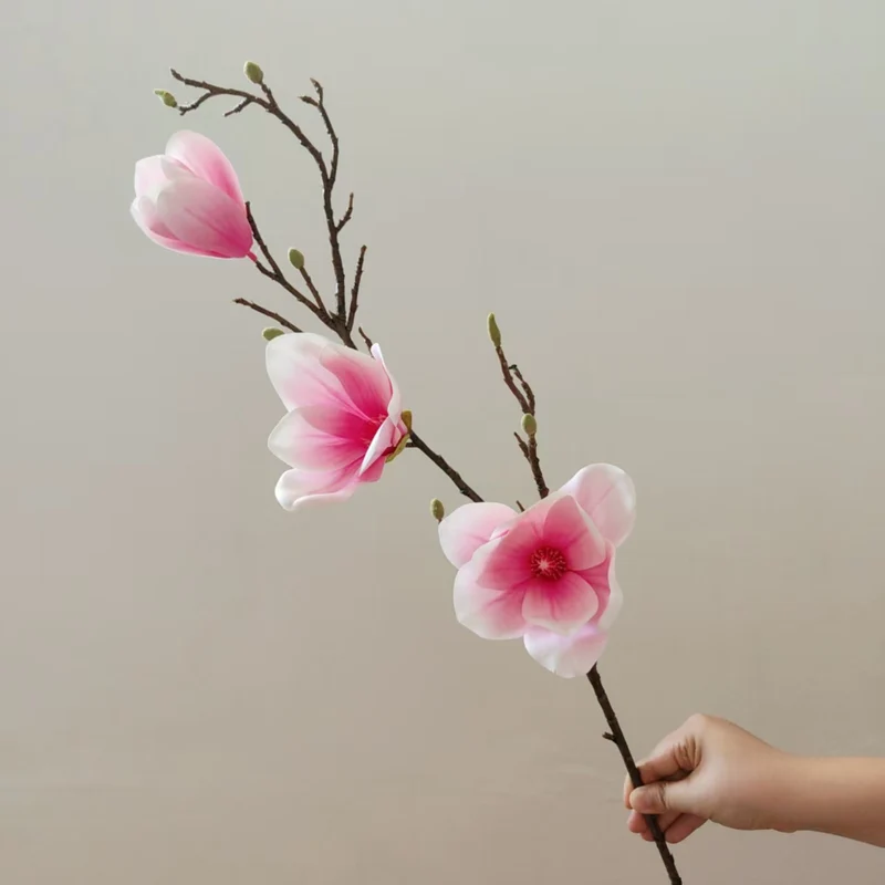 Elegante Magnolienblüte Stiel