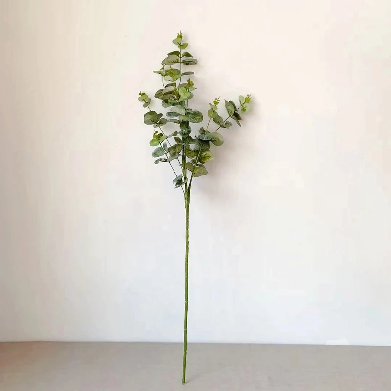 Dekorativer Eukalyptus-Stiel