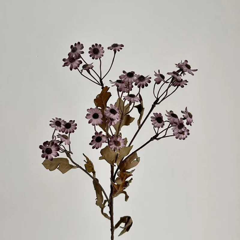 Dekorative Trockenblumen Karnz