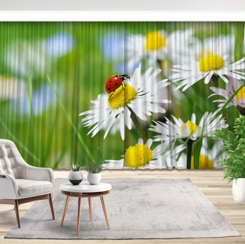 Fotovorhang "Marienkäfer auf Gänseblümchen"
