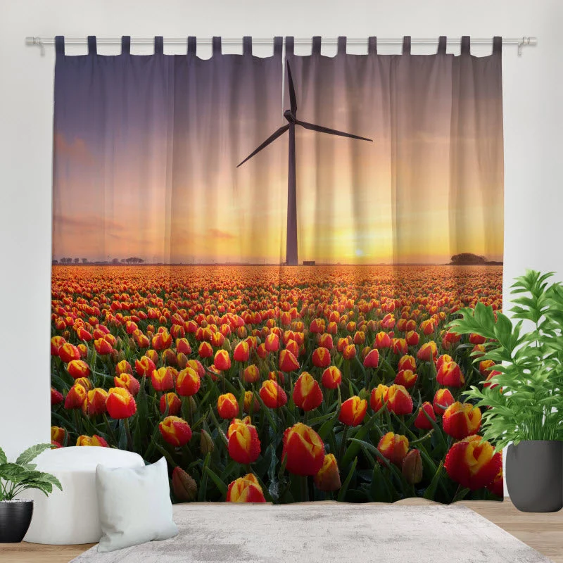 Fotovorhang "Tulpen"