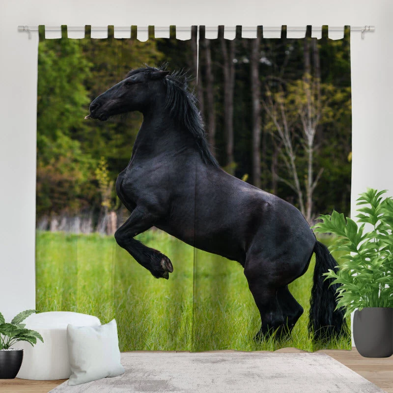 Fotovorhang "Schwarzes Pferd"