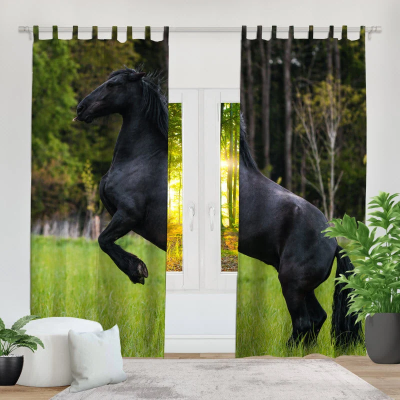 Fotovorhang "Schwarzes Pferd"