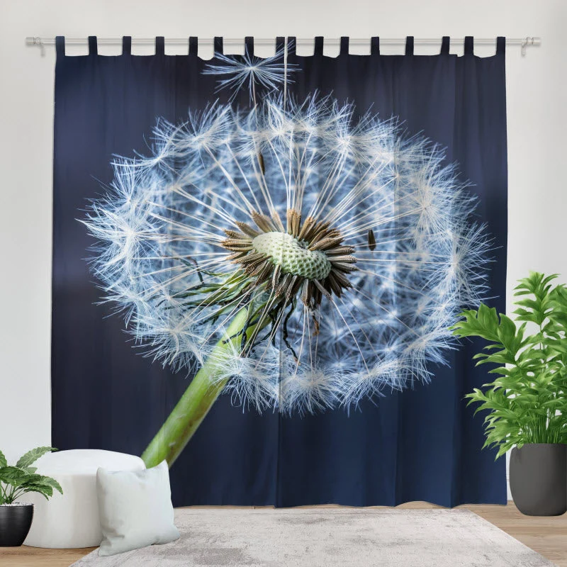 Fotovorhang "Pusteblume V2"