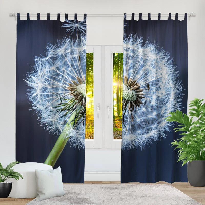 Fotovorhang "Pusteblume V2"