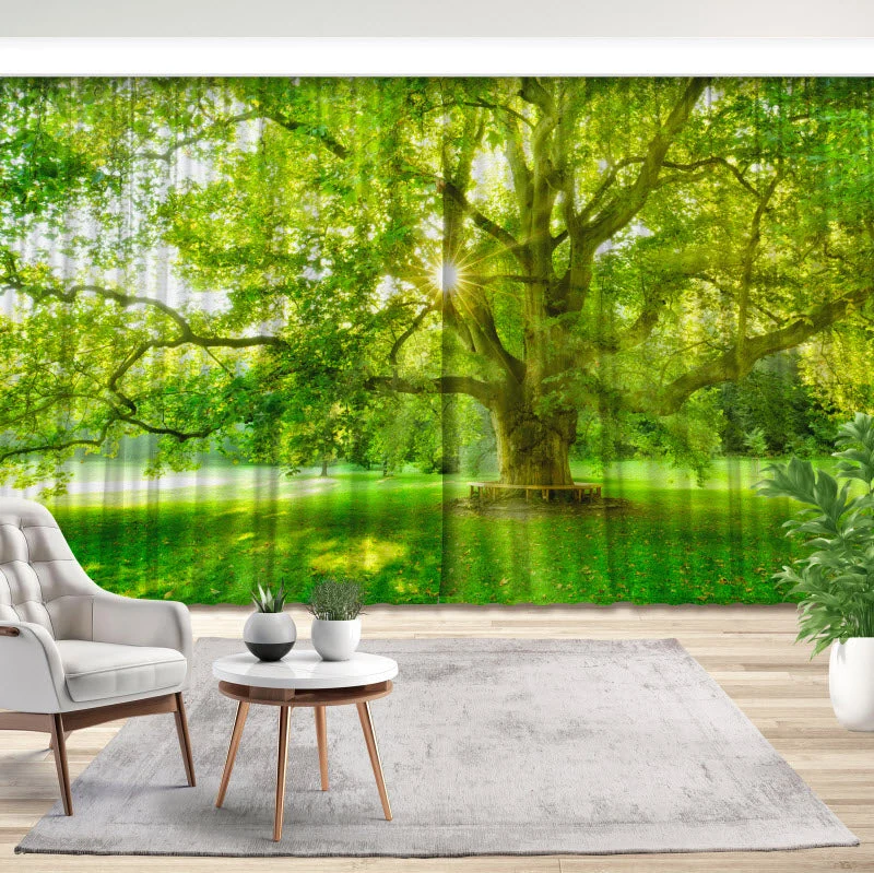 Fotovorhang "Platanenbaum"