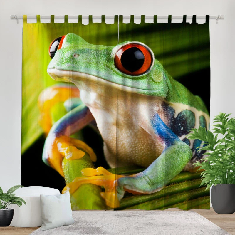 Fotovorhang "Frosch auf Pflanze"