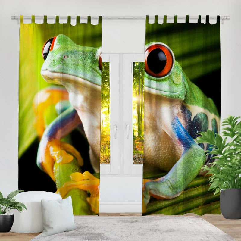 Fotovorhang "Frosch auf Pflanze"