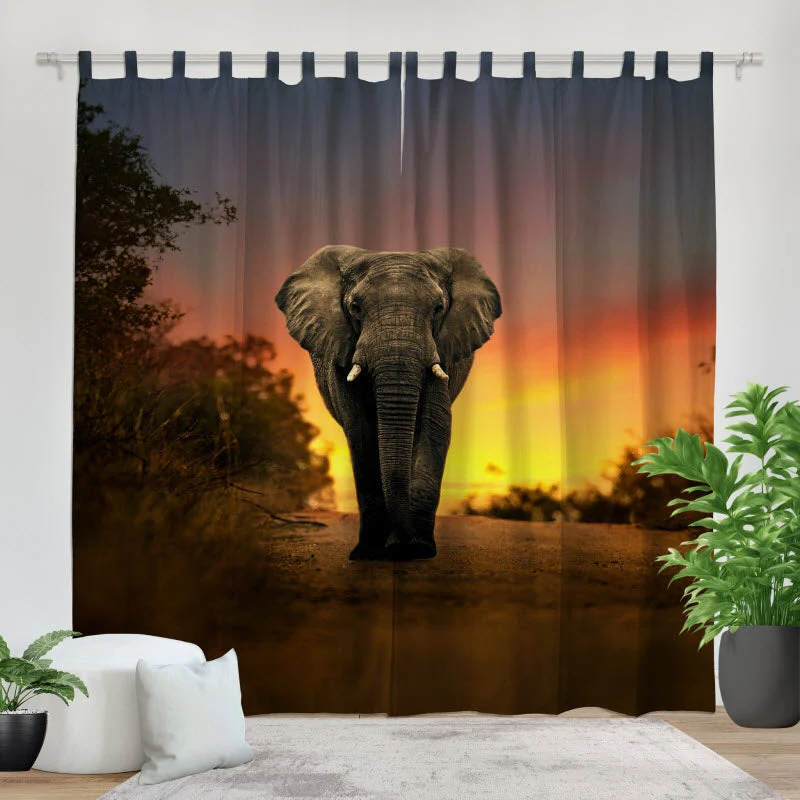 Fotovorhang "Elefant Sonnenuntergang"