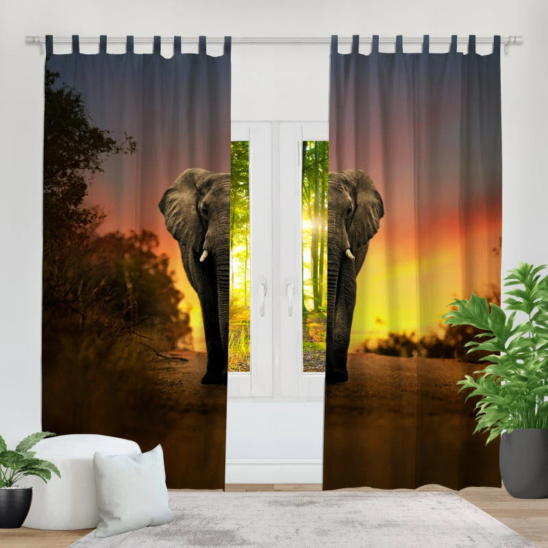 Fotovorhang "Elefant Sonnenuntergang"