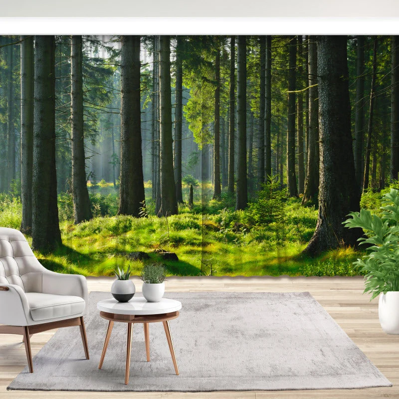 Fotovorhang "Fichtenwald"