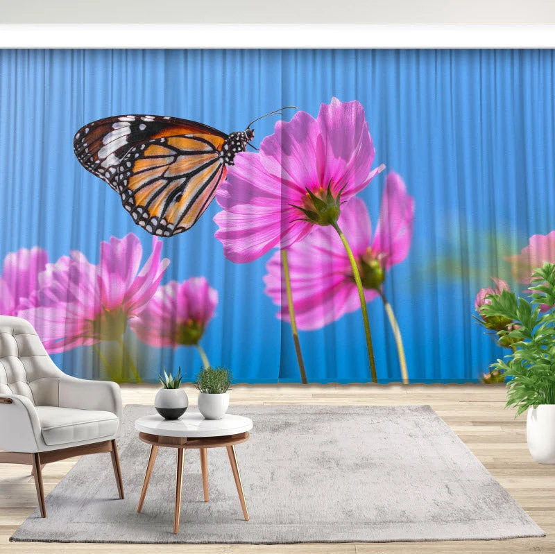 Fotovorhang "Schmetterling auf Kosmosblume"