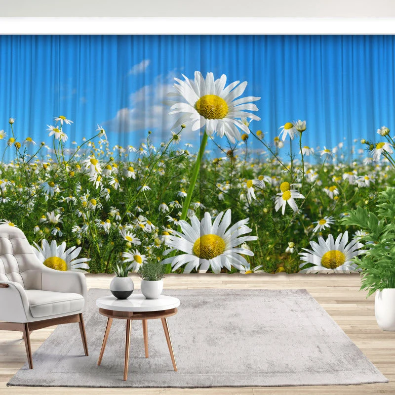 Fotovorhang "Gänseblümchen"